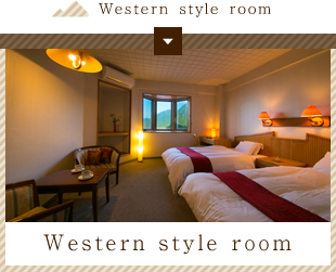 Western style room