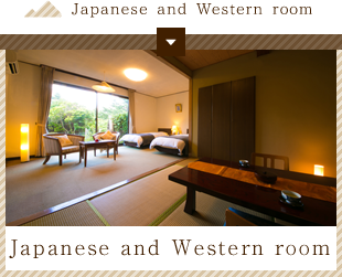 Japanese and Western room style room