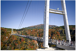 九重“夢”大吊橋