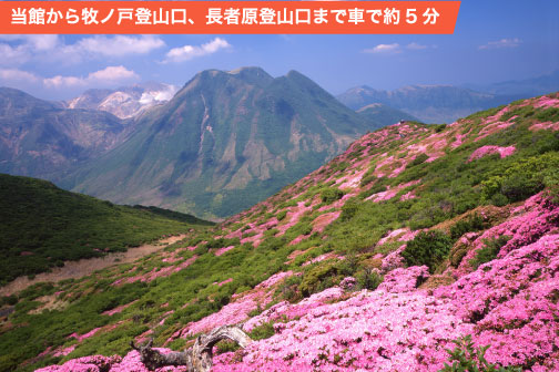 当館から牧ノ戸登山口、長者原登山口まで車で約5分